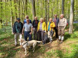 A brief stop by the Bluebell Woods